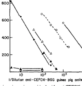Figure 2. Elicitation of PCA in guinea pigs sensitized with anti-CEFOX-BGG guinea pig antisemm by means of 01 ^unol CEFOX-HSA (O O); 01 junol CEFOX-PLL (O O); 25 mg CEFOX ( •  • ) ; 25 mg CETAX (A A); 10 mg CEPHOR  ( • A); Ol ^mol CEPHOR-PLL ( • A); 0-1  F