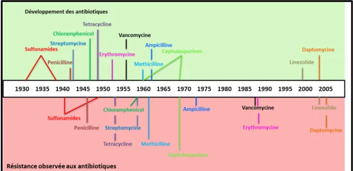 Figure 1. Chronologie du développement d'antibiotiques et l’évolution de la résistance aux  antibiotiques (Clatworthy et al., 2007)