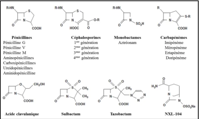 Figure 3. Les structures chimiques des principales β-lactamines et les inhibiteurs des β- β-lactamases cliniquement disponible (Nordmann et al., 2012)