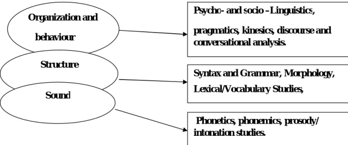 Figure 3. Levels and fields of research into speech and conversation (Hughes, 2001) Organization and       