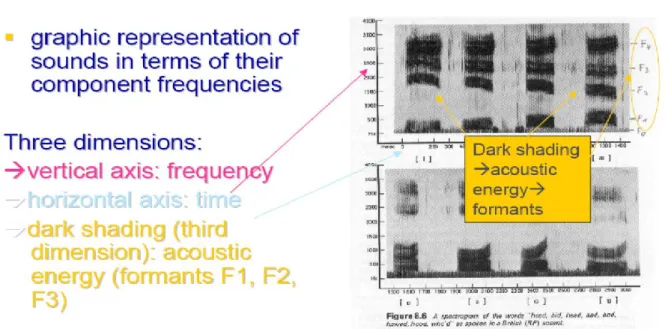 Figure 1.19.: Spectrogram Axes 