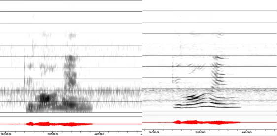 Figure 1.21: Wide Band Spectrogram (Left) and Narrow Band Spectrogram (Right)  Winsnoori Software