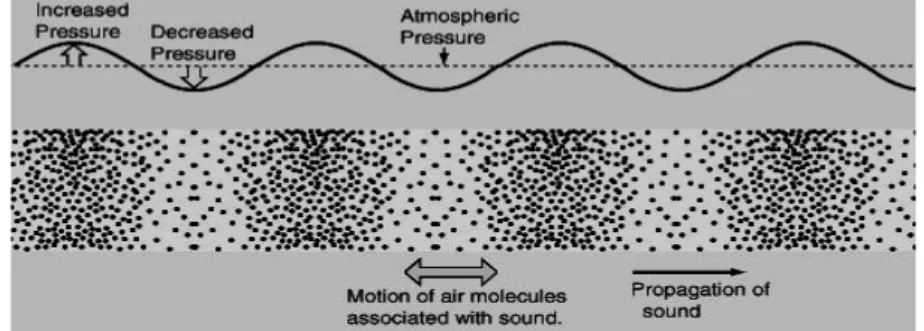 Figure 1.12: Period (T) 