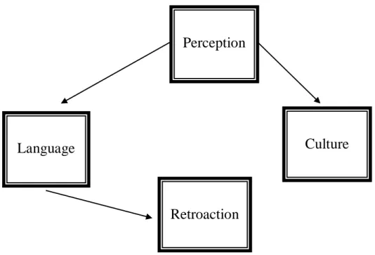 Figure 2. Interrelation between language, perception and culture (Adapted from Coleman et al.,  2003) 