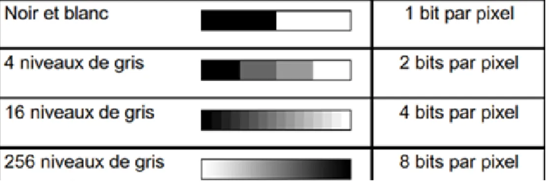 Figure 1.23: Codage en bit (1bit,2,4,8)des niveaux de gris