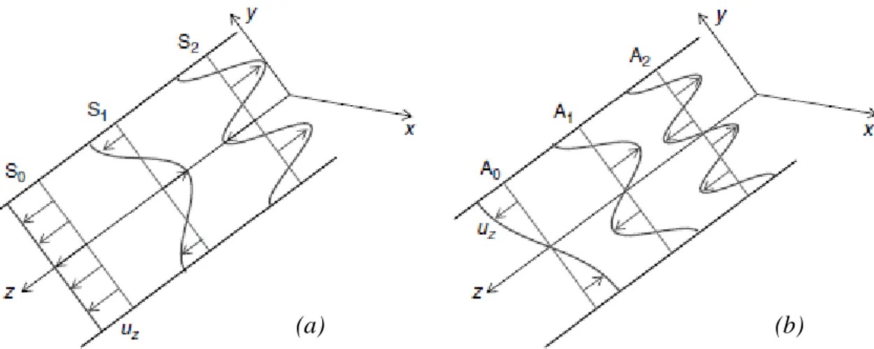 Figure 2.7: SH waves, (a) symmetric modes, (b) Anti-symmetric modes. [Giurgiutiu, 2007]