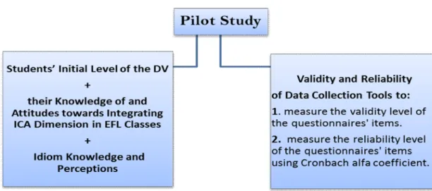 Figure 4.1 Pilot Study Objectives  