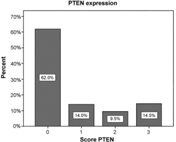 Fig. 2. Malignant mesothelioma tissue microarray: immunohistochemistry with PTEN antibody