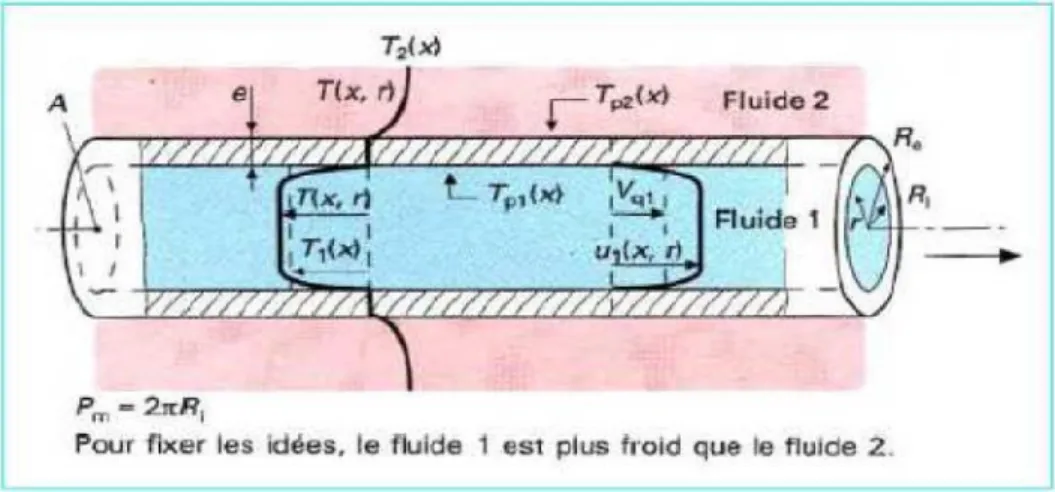 Figure I-11 : Profil de température et de vitesse dans un tube [9] 