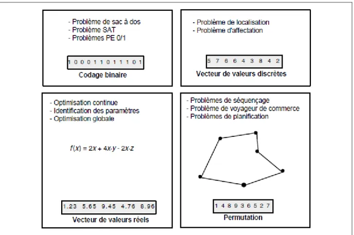 Figure 1-7  Quelques codages classiques: vecteur de valeurs binaires, vecteur de valeurs discrètes, vecteur de valeurs réelles  et permutation