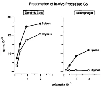Fig. 4. Dendritic cells and macrophages were prepared from enzyme digested thymus of CBA (20 mice) as described in Methods and cultured in serial dilutions with T cell hybrid A18