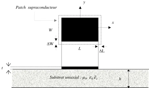 Figure II.2. Géométrie de l’antenne rectangulaire supraconductrice.