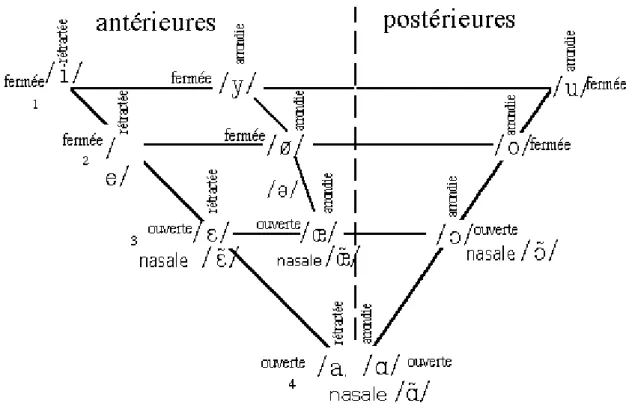 Figure 11. Schéma simplifié du système vocalique du français standard 281 . 