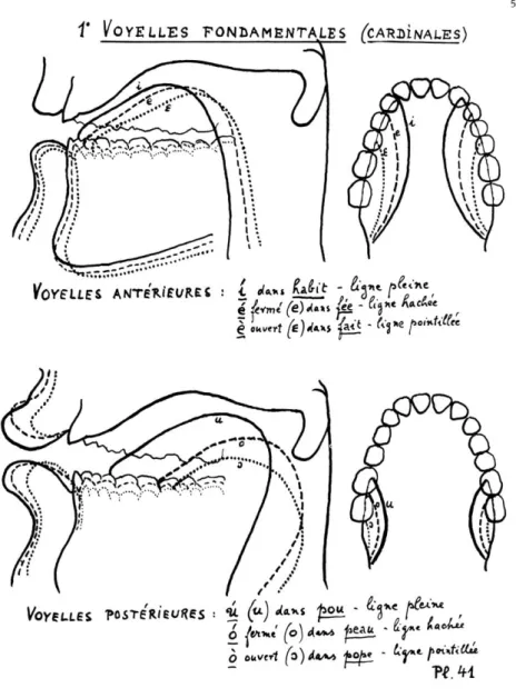 Figure 12. Schéma représentant les voyelles cardinales du français 304 . 
