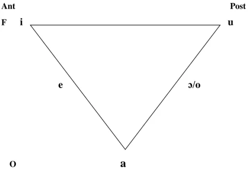 Figure 14. Le triangle vocalique de l’arabe dialectal. 