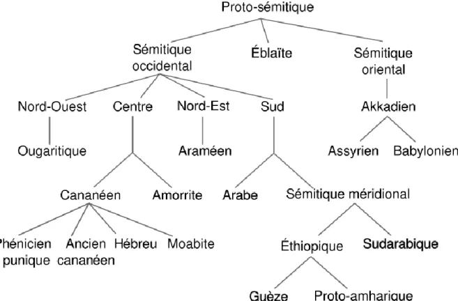 Figure 2. L’arbre linguistique des langues sémitiques 86