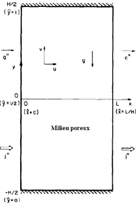 Figure   1.1.  Schéma  d’une  couche  poreuse  2D  soumise  à  des  flux  de  chaleur  q″  et  de         masse uniforme j″ horizontale [22]
