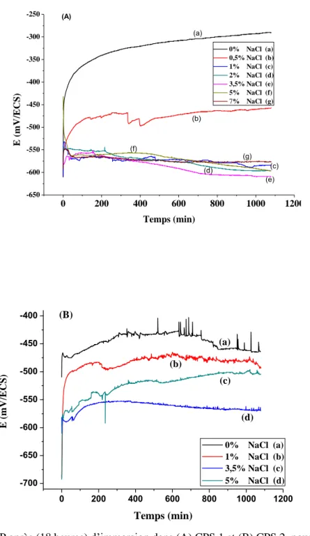 Figure II.4  OCP après (18 heures) d‟immersion dans (A) CPS 1 et (B) CPS 2, pour différentes  concentrations de chlorure