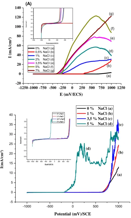 Figure II.7  Courbes de polarisation I = f (E) de l'acier au carbone immergé dans : A) CPS 1 et  B) CPS 2 après une période de passivation pour différentes concentrations de chlorure