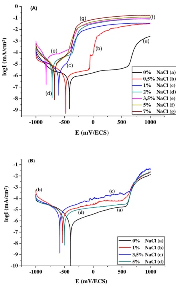 Figure II.8 Courbes de polarisation de l‟acier au carbone immergé 18 heures dans; A) CPS 1 et  B) CPS 2, pour différentes concentrations de chlorure