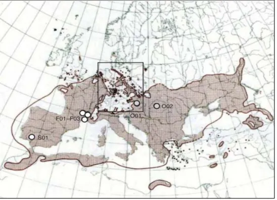 Figure 2 : Distribution géographique de l’espèce Eryngium campestre L.[Bylebyl et al.2008]