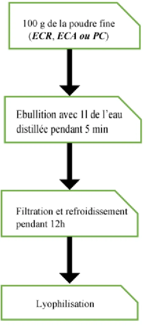 Figure 8 : Schéma de la décoction d’Eryngium campestre L. (EC) et Paronychia capitata L