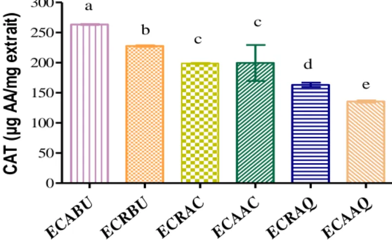 Figure  16  :  La capacité antioxydante totale (CAT), exprimée en µg E AA/mg d’extrait des  extraits d’Eryngium campestre L