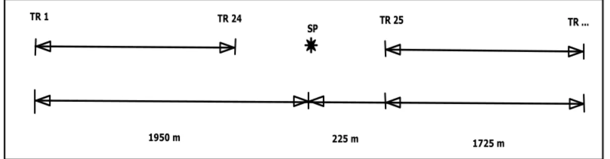 Figure III.1 : Dispositif d’enregistrement (tir au centre).  
