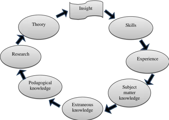 Fig 3.1: A Model of Insights Guiding the Moment of Teaching. 