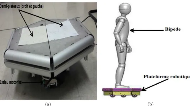 Figure 1.5 – (a) : Plateforme robotique mobile : Isiskate. (b) : bip` ede plac´ e sur une plateforme mobile.