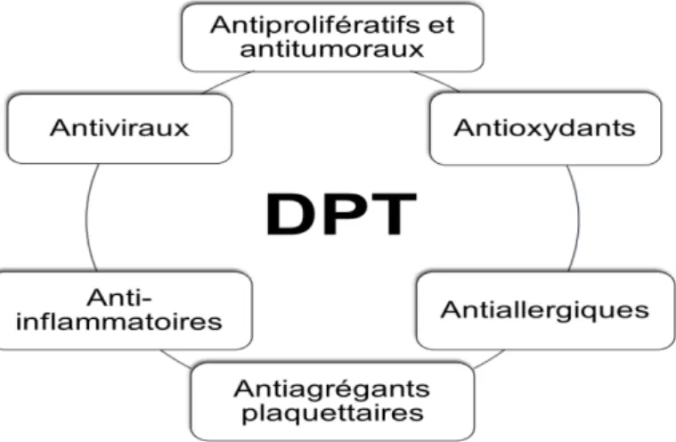 Figure 3. Effets pharmacologiques de la DPT  ] 91 [ . 