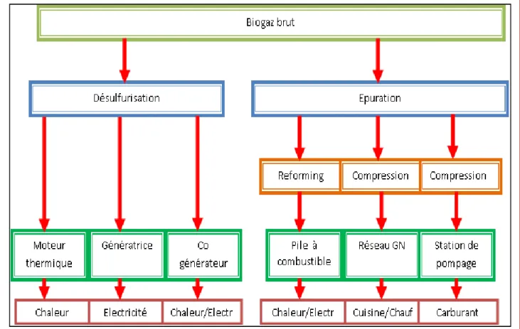 Figure II.10. Organigramme de traitement et de valorisation du biogaz [15]. 