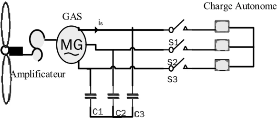 Figure 2.4.  Chaîne de conversion éolienne basée sur une  génératrice asynchrone auto-amorcée 