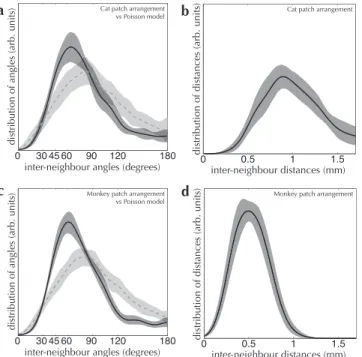 Figure 8. Distributions of interneighboring-patch angle and distance for cat (a,b) and monkey (c,d), measured over our database of patch-labeling injections