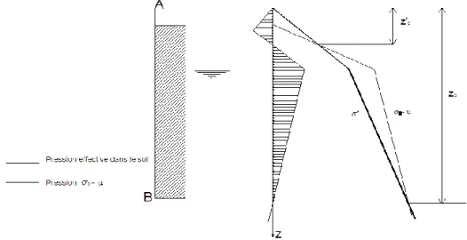 Figure 2.2 :  Diagramme des contraintes sur la paroi AB 