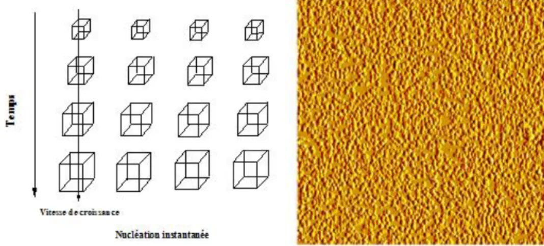 Figure II. 4 : Mécanisme et image topographique (AFM) d’une nucléation instantanée [51]