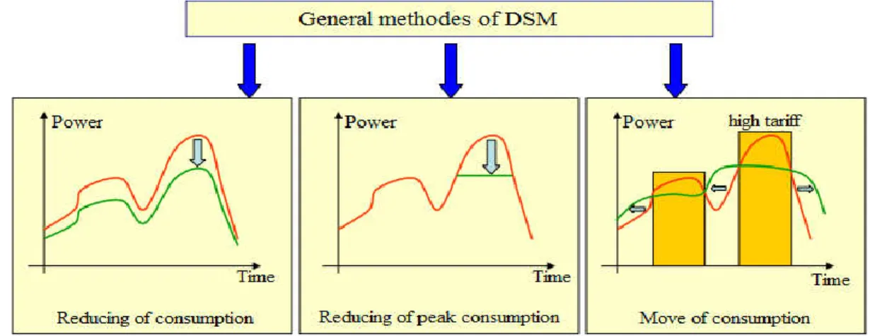 Fig. 1.5.  General method of DSM