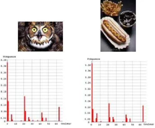 Figure 2.3-  Deux images différentes avec histogrammes de couleur similaires [33]. 
