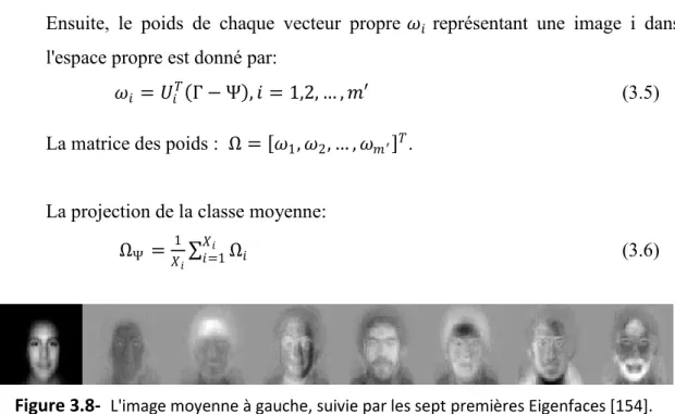 Figure 3.8-   L'image moyenne à gauche, suivie par les sept premières Eigenfaces [154]