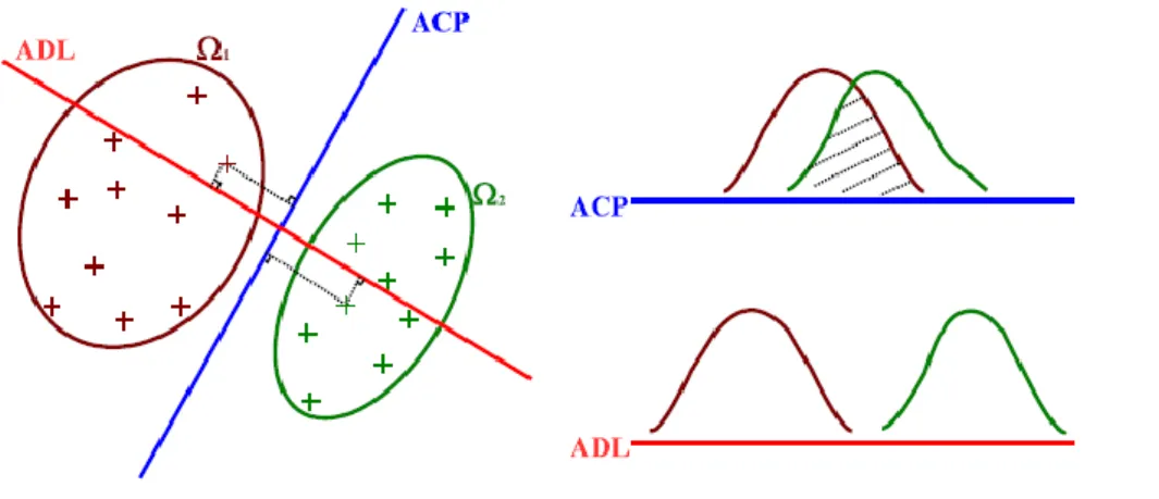 Figure 3.9-  Un exemple de projection de deux classes sur un axe ACP et sur un axe ADL [149].