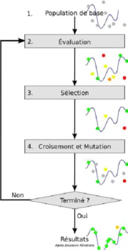 Figure 1.3 Schéma d’algorithme génétique d’optimisation [Chibane2013] 