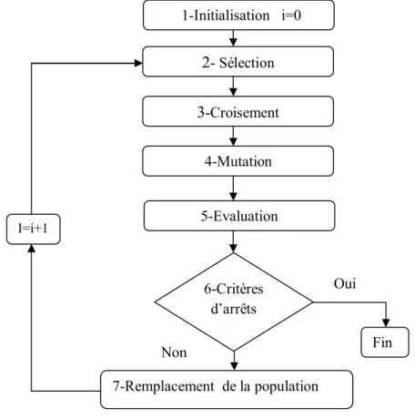 Figure 3.4     Schéma d’une algorithmique génétique 4-Mutation 5-Evaluation 3-Croisement 2- Sélection         1-Initialisation   i=0 6-Critères d’arrêts 7-Remplacement  de la population Fin Oui I=i+1 Non 