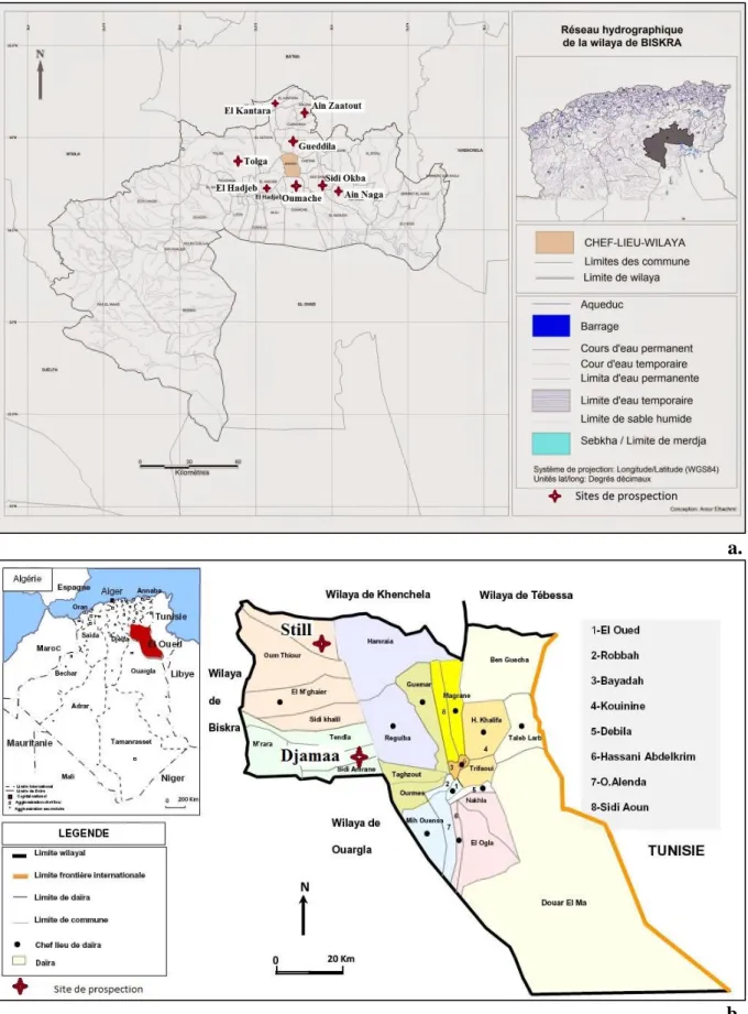 Figure  14.  Cartes  indiquant  les  localités  visitées.  a.  Wilaya  de  Biskra  avec  huit  localités  (Arour  2015)  b