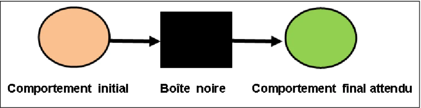 Fig 1.1.  Modèle comportementaliste (Labédie &amp; Amossé, 2001) 