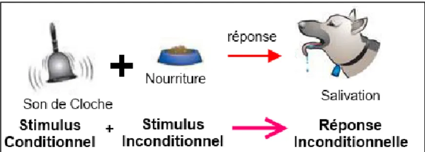 Fig 1.4.  Troisième étape de conditionnement 