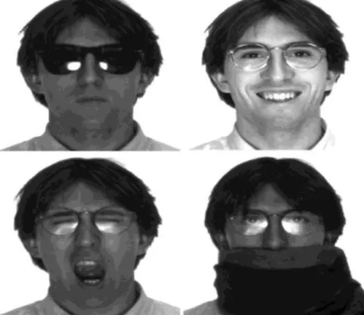 Figure 2.5: Variabilité  intra classe  due  à  des  variations  de  la  température  du corps