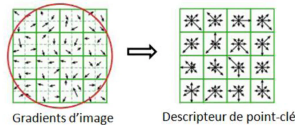 Figure 3.1: Construction d’un descripteur SIFT (ref [1]) 