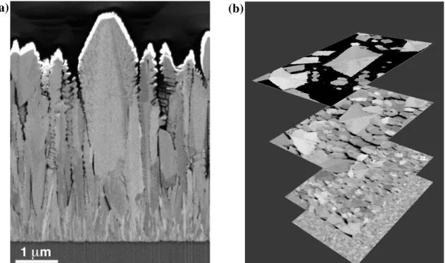 FIG. 2.  FIB-SEM cross-section grain structure image of a  ZnO test film (a); compared to typical  pyramidal ZnO for cells, its unusual structure results from very non-standard LP-CVD conditions for  growth studies