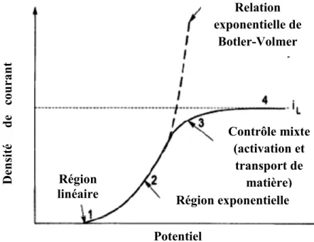 Figure I.6. : Les quatre zones dans la relation générale courant-potentiel et  relation de Botler-Volmer