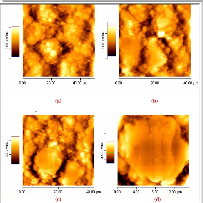Figure IV.3. : Images obtenues par microscopie à force atomique réalisée sur un  revêtement obtenu dans le bain chloruré en présence d’alumine